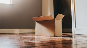 Single Item Removals