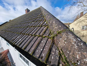 A slate tile roof with moss growing on it.