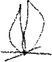 Log fire Vector