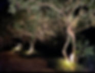 Outdoor Lighting