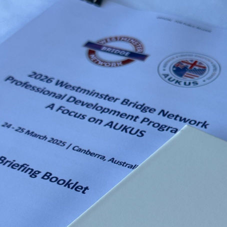 2026 Westminster Bridge Network Professional Development Programme