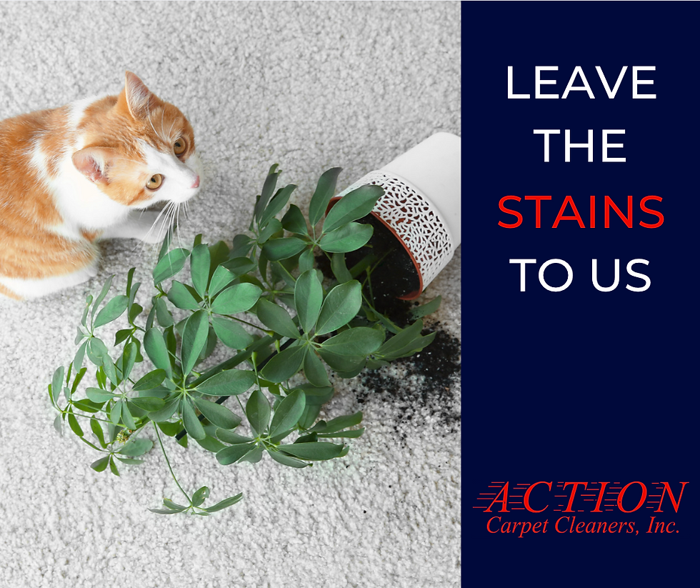 Google Business marketing agency near me