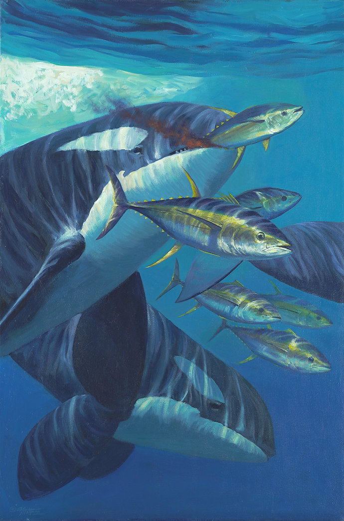 Michael Hoffman Marine Artist | Marine Life Painting | Stuart, Florida