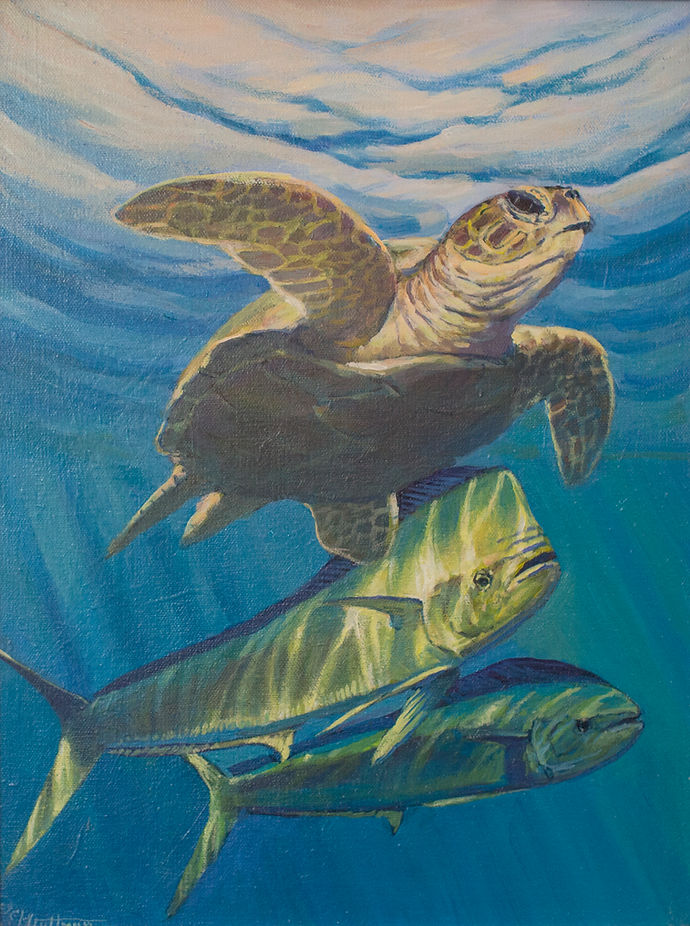 Fine Art Marine Artist Portraits