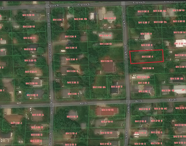 Lossing Ave Lot 25.png