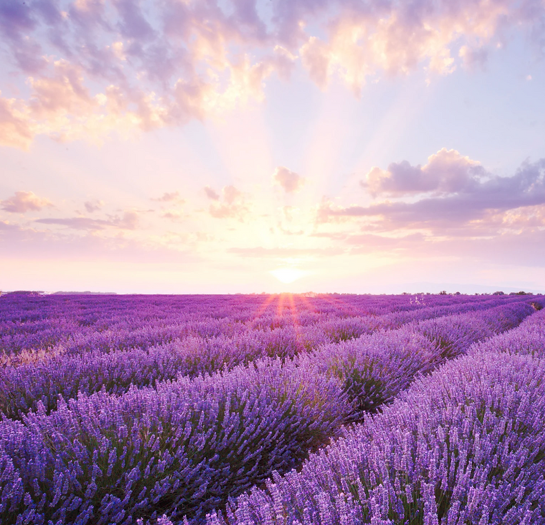 Intuitive Counseling and Hypnotherapy Services