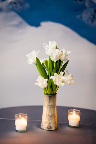 Mitzvah party planner in Philadelphia PA