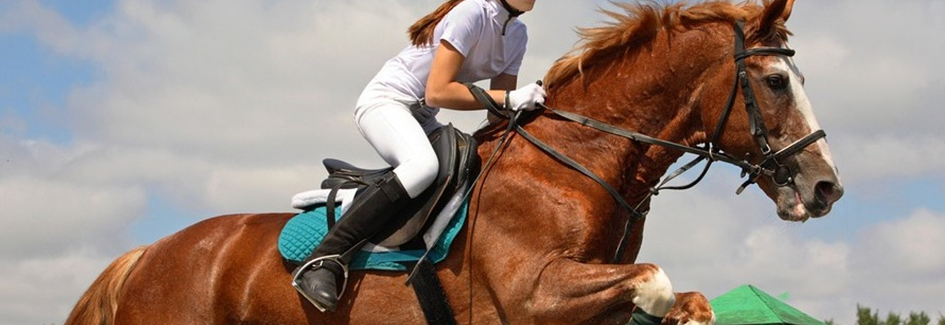 Grants Virginia Horse Industry Board