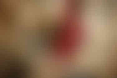 Närbild av juldekorationer på Fagerudd: små tomtar, minigranar, ljus och polkagriskäpp som skapar en varm och mysig julbordsstämning