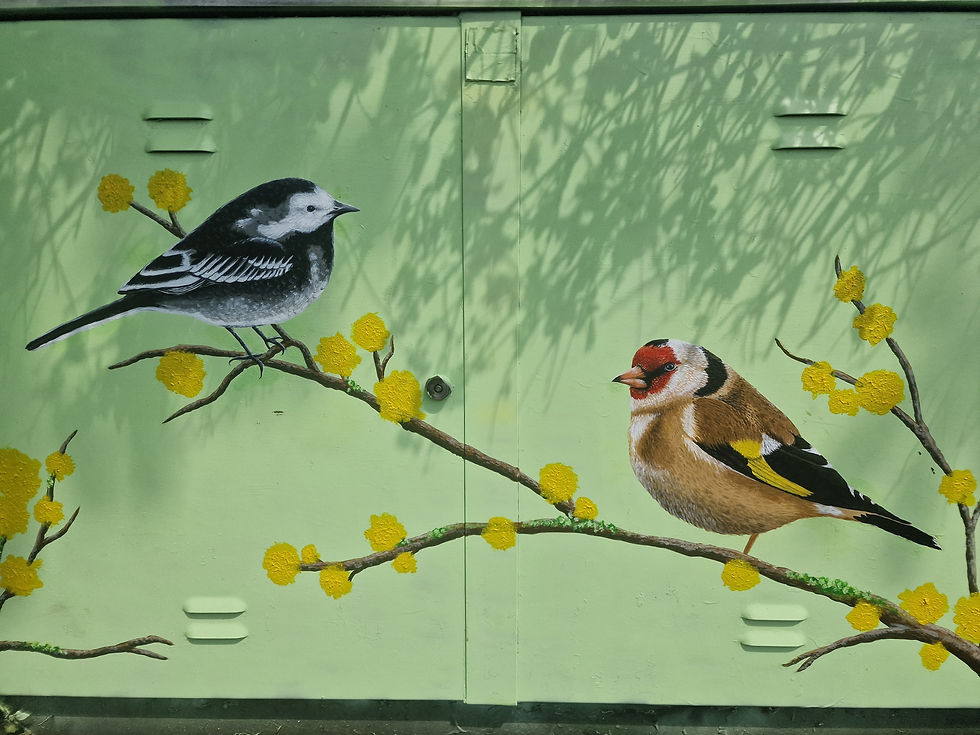 Most of the Goldfinch is nearly done :)