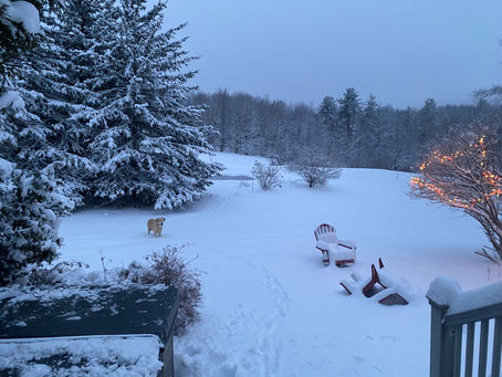 Nature is Calling: be present, be mindful