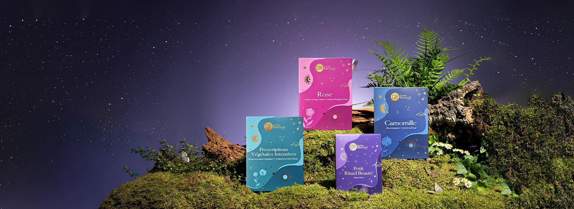 Bandeau coffrets Noel DR v5.jpg