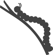 Asset 6_4x.png