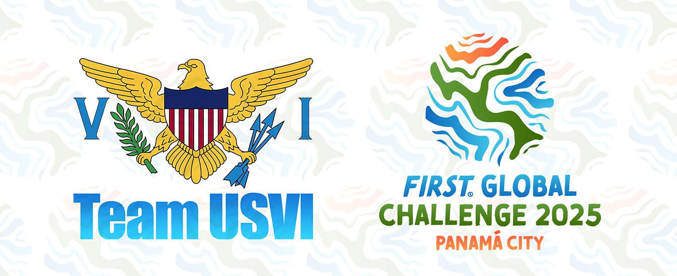 Team VI Website Banner.jpg