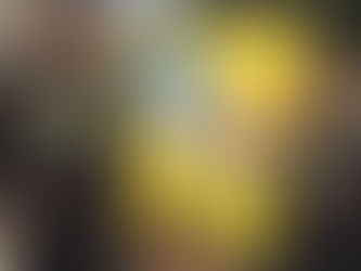 Camposavio Tijuana 2017