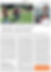 Volksblatt Bericht Ingrid Macala 2022.png