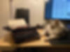 cat and typewriter_edited.jpg