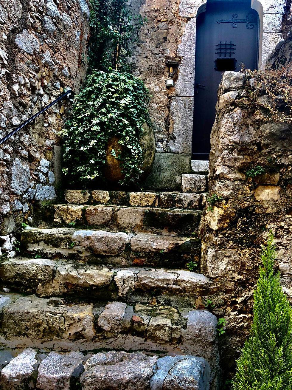 Stone steps leading up to a blue door.