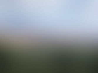 August Angst, Mixed Metaphors, and Finding Footing