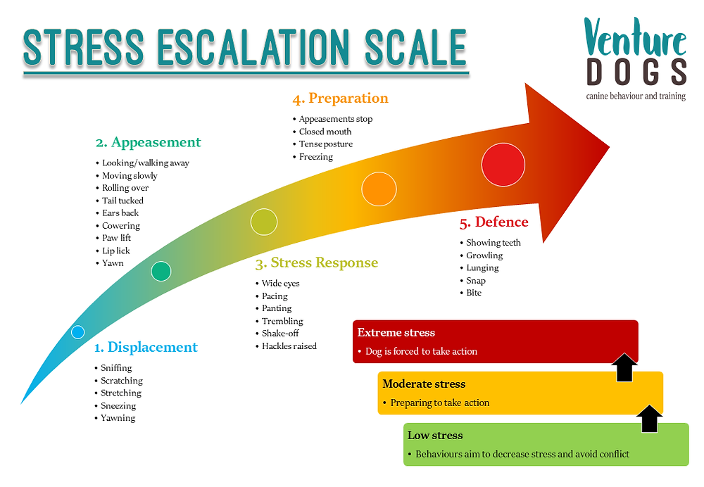 Stress escalation scale for dogs. The scale ascends through increasing stress levels: displacement, appeasement, stress response, preparation, and defence. Each level includes examples of behaviours one might see, such as sniffing, sneezing, lip licking, yawning, pacing, panting, freezing, growling, and biting
