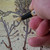 Thumbnail: Nature in Human Form - "The Transformation"