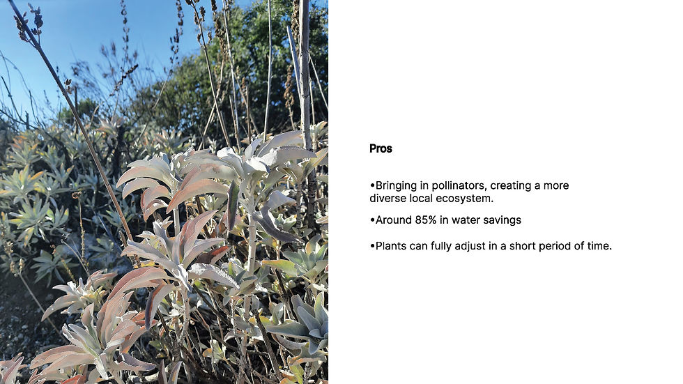 Grand Park_Fernando_Vazquez_Page_07.jpg