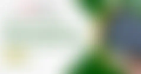 Standing seam metal roof in a dark gray Englert finish on a Miami home, highlighting clean panel lines, color consistency, and modern curb appeal.