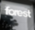 The Forest Creative Studio Office Glass