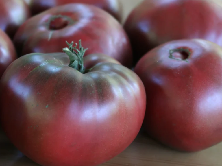 Tomate Noir France