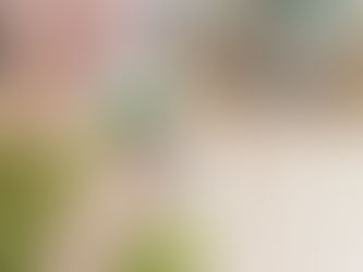 【最安なのに認証だらけ!?】LiveGoodのグリーンパウダーがすごすぎた件