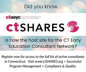 Consultant Network.png