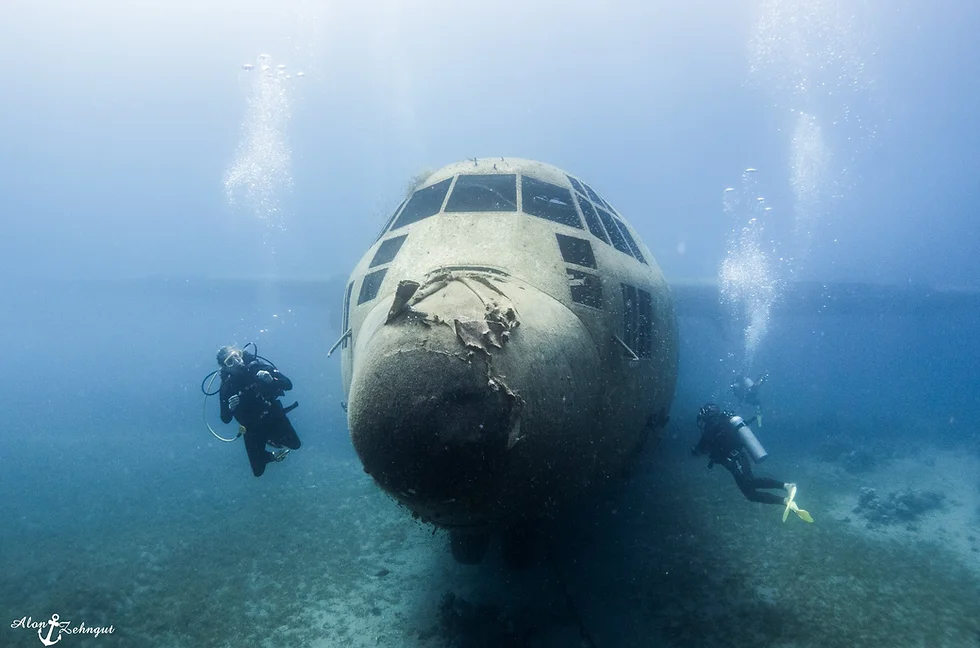 ����� ������� �� ��� ���� ���� ���� ��� ��� ������ ���� �� ��� �����