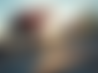 Professional Roofing and Tree Removal in Stockbridge