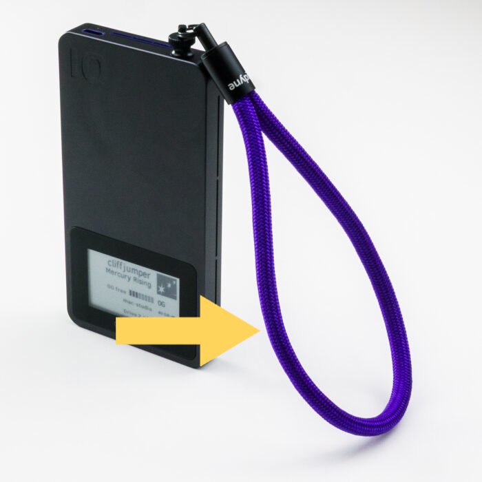 Pro Mini Lanyard2-700x700_edited.jpg