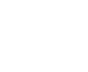Metadata-white-300x245.webp