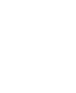 RAID-Encryption-white-1-244x300.webp
