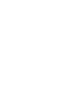 Speed-white-195x300.webp