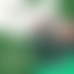 First Aid at Work Training in Huntly