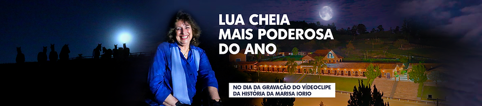lua banner.png