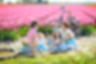 istockphoto-1464573593-612x612.jpg