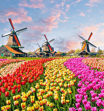istockphoto-937057490-612x612.jpg
