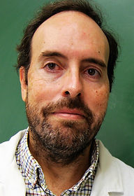 Profesor. Pedro