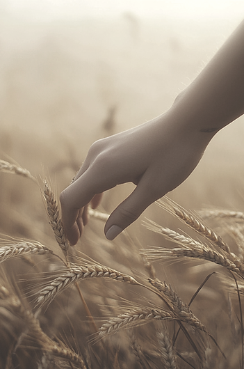 gchronak_A_cinematic_close_up_of_a_hand_gently_touching_a_golde_4a64cfa8-8e25-43b2-ade5-bd