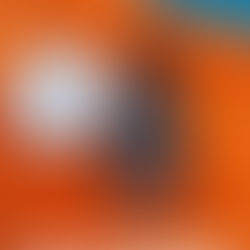 NO4 GLASS CERAMIC COATING