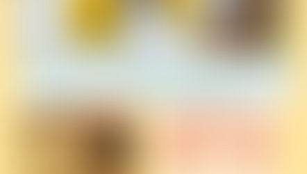 20 de Mayo Dia Mundial de las Abejas: Declarado por la ONU en 2017