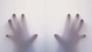 hands-g8f72b9322_1920.jpg