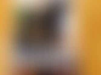 מבלאומילך עד ביר חכים על פסים