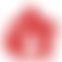 האנרכיזם מהו: מאת אליזה רקלו 1896, בתרגום מצרפתית