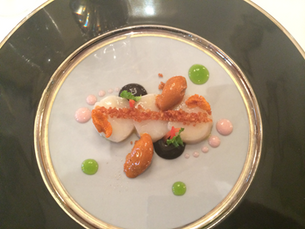 אקסלנט, אקסלנט!