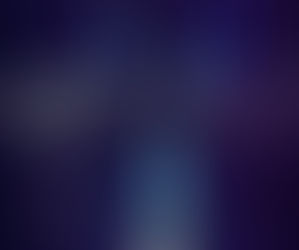 Honoring the Lives Lost on 9/11